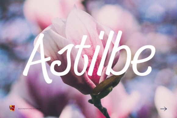Astilbe: A Versatile Script Font for Crafters and Product Creators