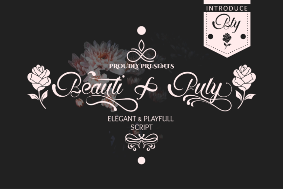 Beautifuly Script Font Review for Brand Designers