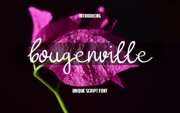 Bougenville Font for Professional Branding