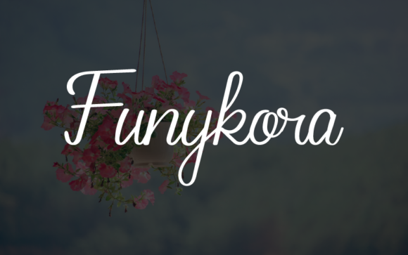 Funkykora: A Font That Flows With Your Story