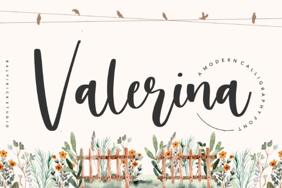 How Valerina Transformed My Brand’s Visual Identity