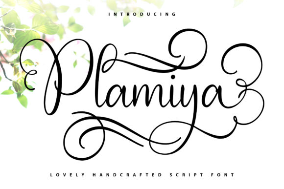 Plamiya: A Handwritten Font That Adds Personality to Branding